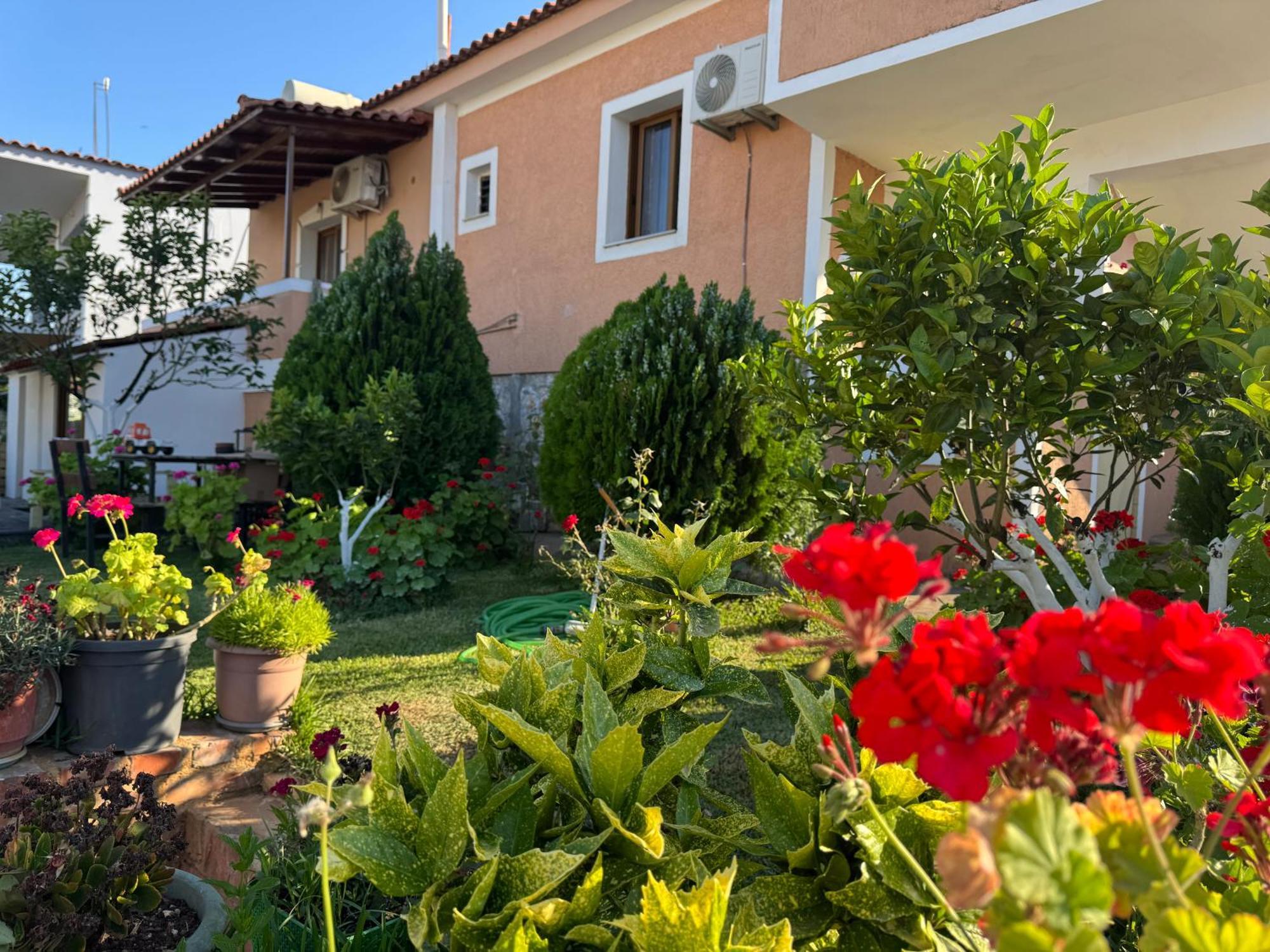 Apartment Fjori Ksamil